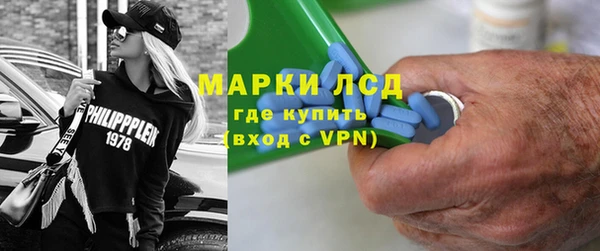 прущие грибы Гусев