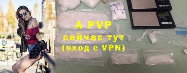 a pvp Магас