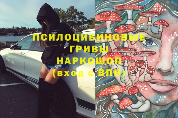 МДПВ Лиски