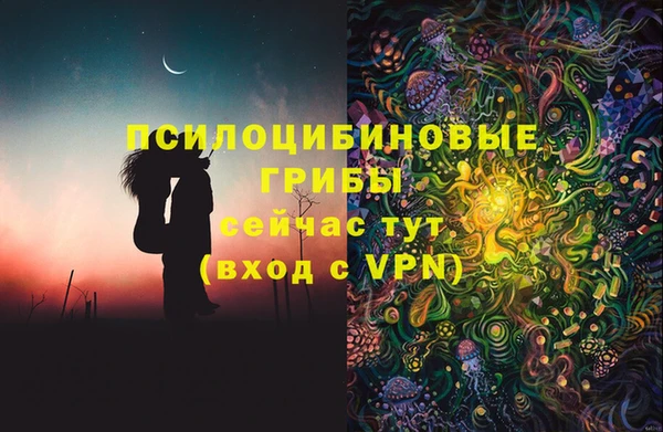 МДПВ Лиски