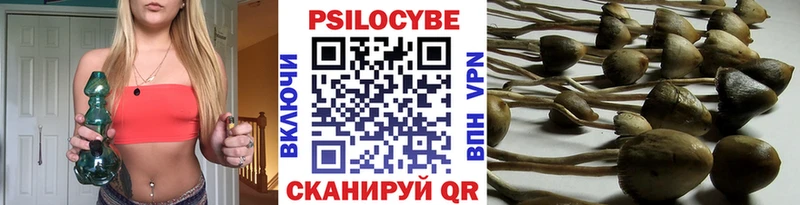 как найти закладки  Новоаннинский  Галлюциногенные грибы MAGIC MUSHROOMS 